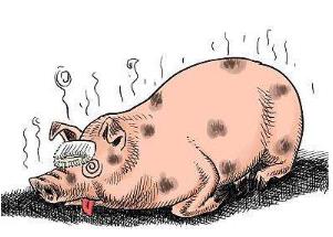 非洲猪瘟检测