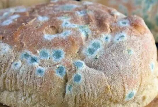 食品添加剂检测仪厂家，选择山东云唐