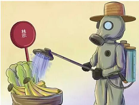 应用果蔬农残检测仪有什么意义？