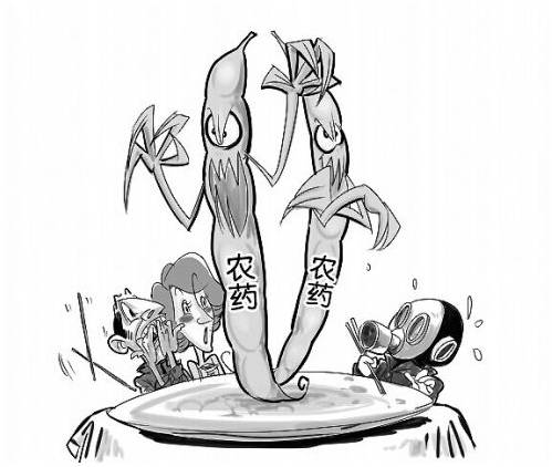 农药残留检测仪助力农业生产