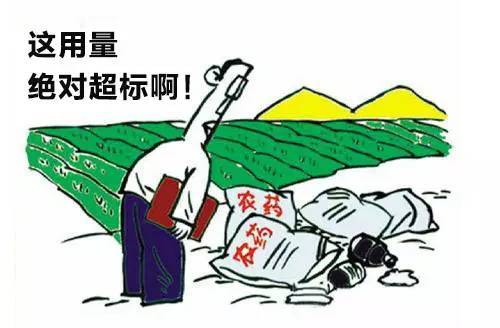 农药残留速测仪准确检测农残