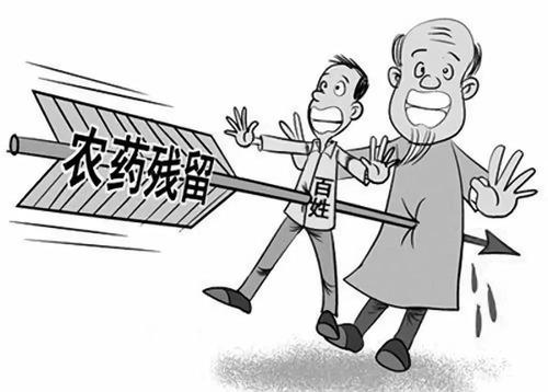 农药残留检测仪确保食品安全