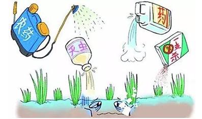 如何使用农药残留快速检测仪监测校园食品安全