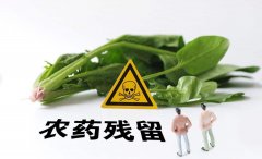 农药残留速测仪使用必要性