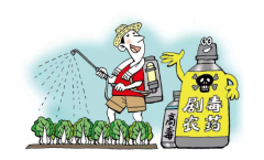 农产品农药残留的来源及其检测技术