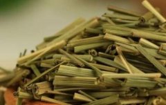 茶叶农残检测仪指导茶叶安全种植