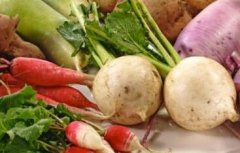 蔬菜农药残留速测仪助力反季节蔬菜检测