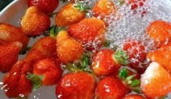 农产品进出口贸易需要农残仪