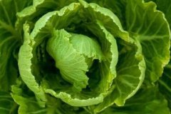 农残快速检测仪为老百姓提供好的消费环境