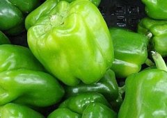 蔬菜集散中心配备农药残留检测仪的必要性！