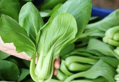 农残快速检测仪确保食品安全