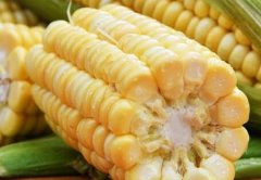 食品快检行业绕不开食品安全检测仪