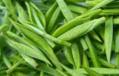 茶叶农残速测仪在茶叶检测不可或缺