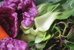 不合格农产品检测需要农药残留速测仪