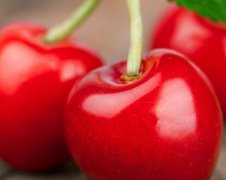 果蔬检测使用农药残留速测仪有必要吗？