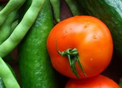 山东云唐高性价比农残快速检测仪