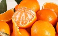 食品安全检测仪可以检测多种食品安全问题