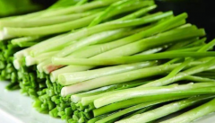 果蔬农残速测仪搭建食品快检实验室