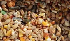 食品重金属检测仪避免消费者吃到“有毒粮食”