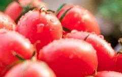 云唐果蔬农残速测仪解决客户的后顾之忧