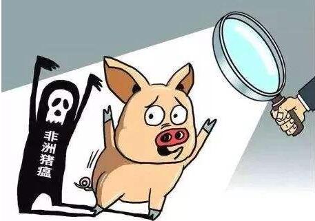 非洲猪瘟检测仪