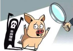 非洲猪瘟检测仪助力新一轮猪瘟病毒检测